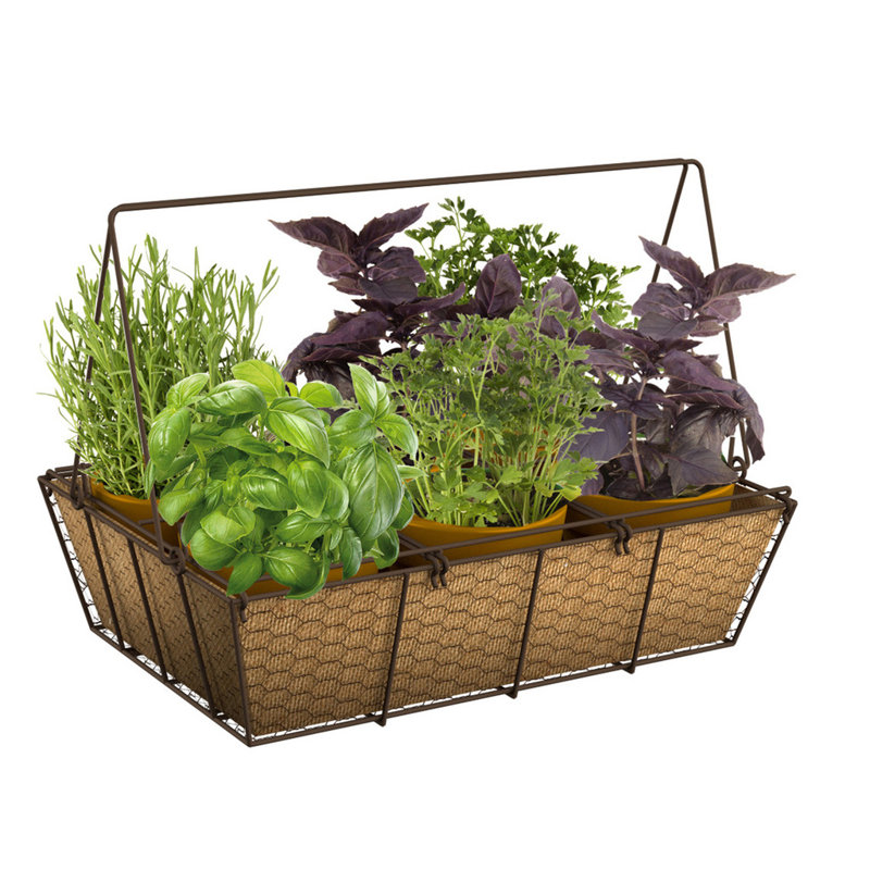 Panacea Products Mason Jar Metal Planter Box Wayfair